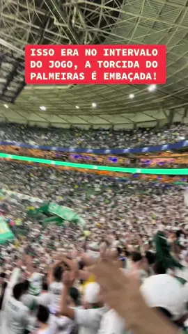 NOITE MÁGICA DA TORCIDA PALMEIRENSE! #palmeiras #avantipalestra #manchaverde #libertadores #palmeirasoficial 