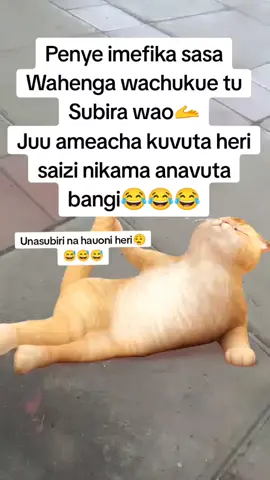 #foryoupage #tiktok #viral #laugh #VibesyncContent 