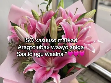 Lillies ND ponies 😩🩷🩷🩷#fyp #flower #lillies 🩵🥀🥀#foryou #obsessed 