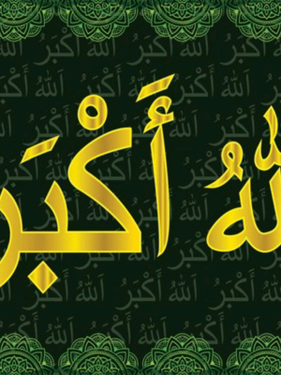 #creatorsearchinsights 