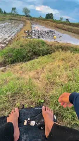 info beli 1 gratis 10 hektar🤣🤣#fyp#wijapaggalung🌾#bugispride🏝️🔥#masukberandafyp#berandatiktok 