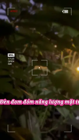 Đèn đom đóm năng lượng mặt trời #den #dentrangtri #dennangluong #dennangluongmattroi #đèn 