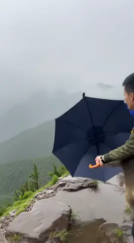 This is really amazing! Very clever monkey🐒！ This reminds me of China's fairy tale: the Monkey King, and this umbrella is like his somersault cloud! !#Sun Wukong #Magical animal#Clever monkey🐒