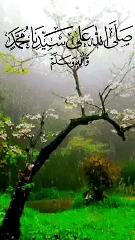 #مشاھدات #تيك_توك #قرأن #الصلاة_والسلام_عليك_ياحبيبي_يارسول_الله 