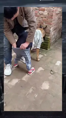 😭😭 #videoviral #lucu #funny #ngakak #videolucu 