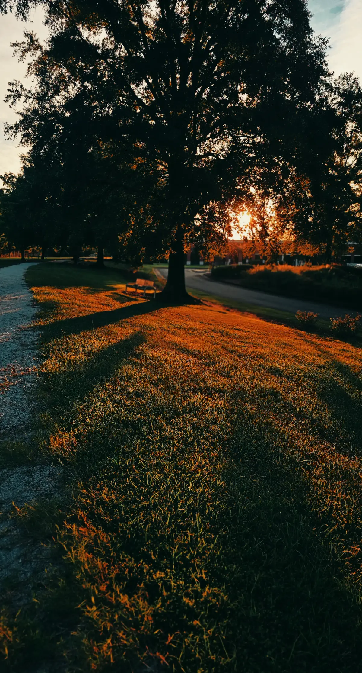 IMAKE CINEMATIC PHOTOS. #photography #photoshoot #photographer #cinematicphotography