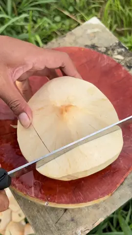 Một người đàn ông nhận được 20 tỷ tiền đền bù giải tỏa đất và cái kết #bienmoithuthanhtien #baihoccuocsong #trietlycuocsong #trietly #sachhay 