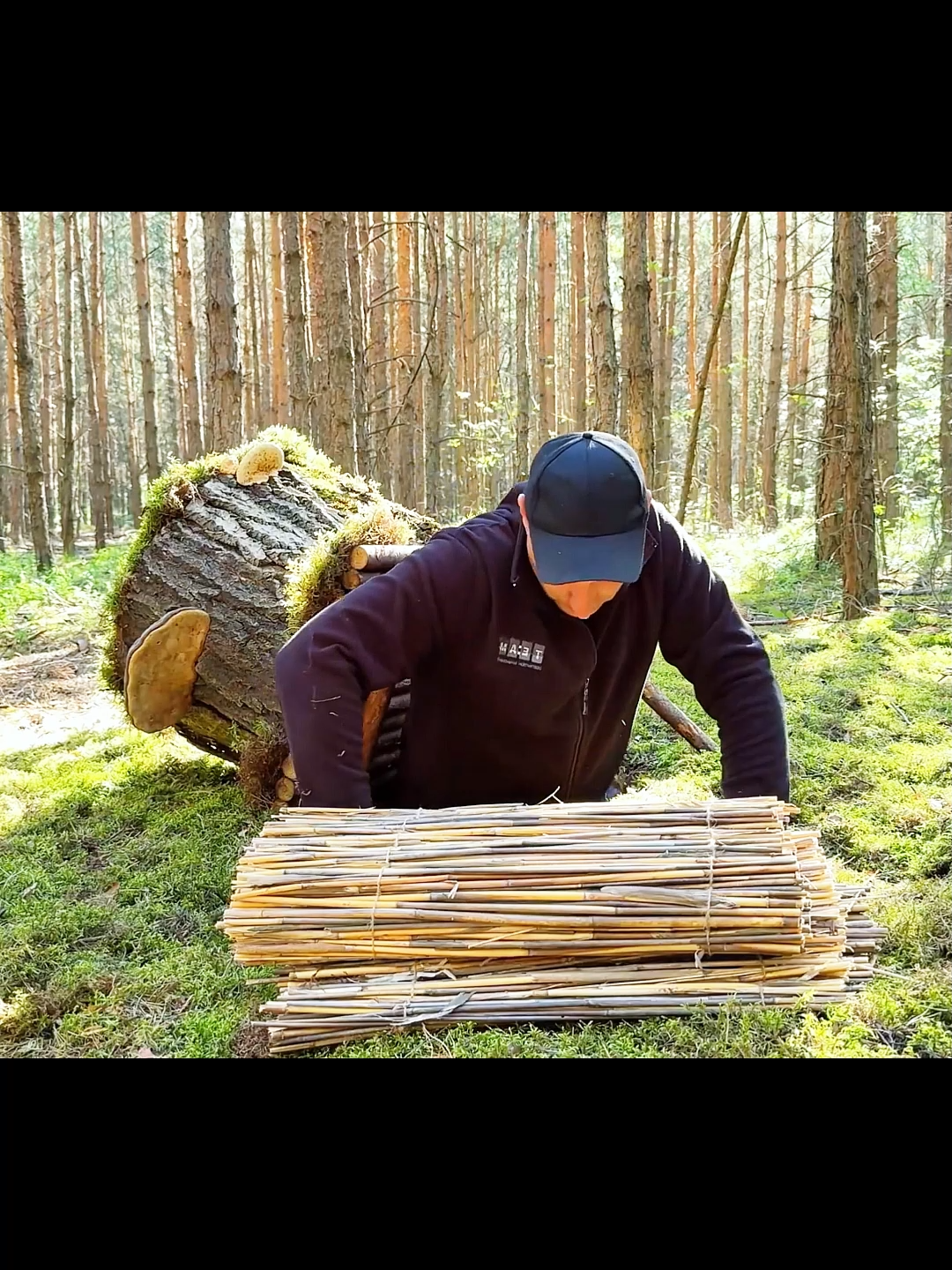 Secret camouflage shelter under fake tree in the forest #shelter #survivor #survival #bushcraft #satisfying #campinglife #camping #Outdoors