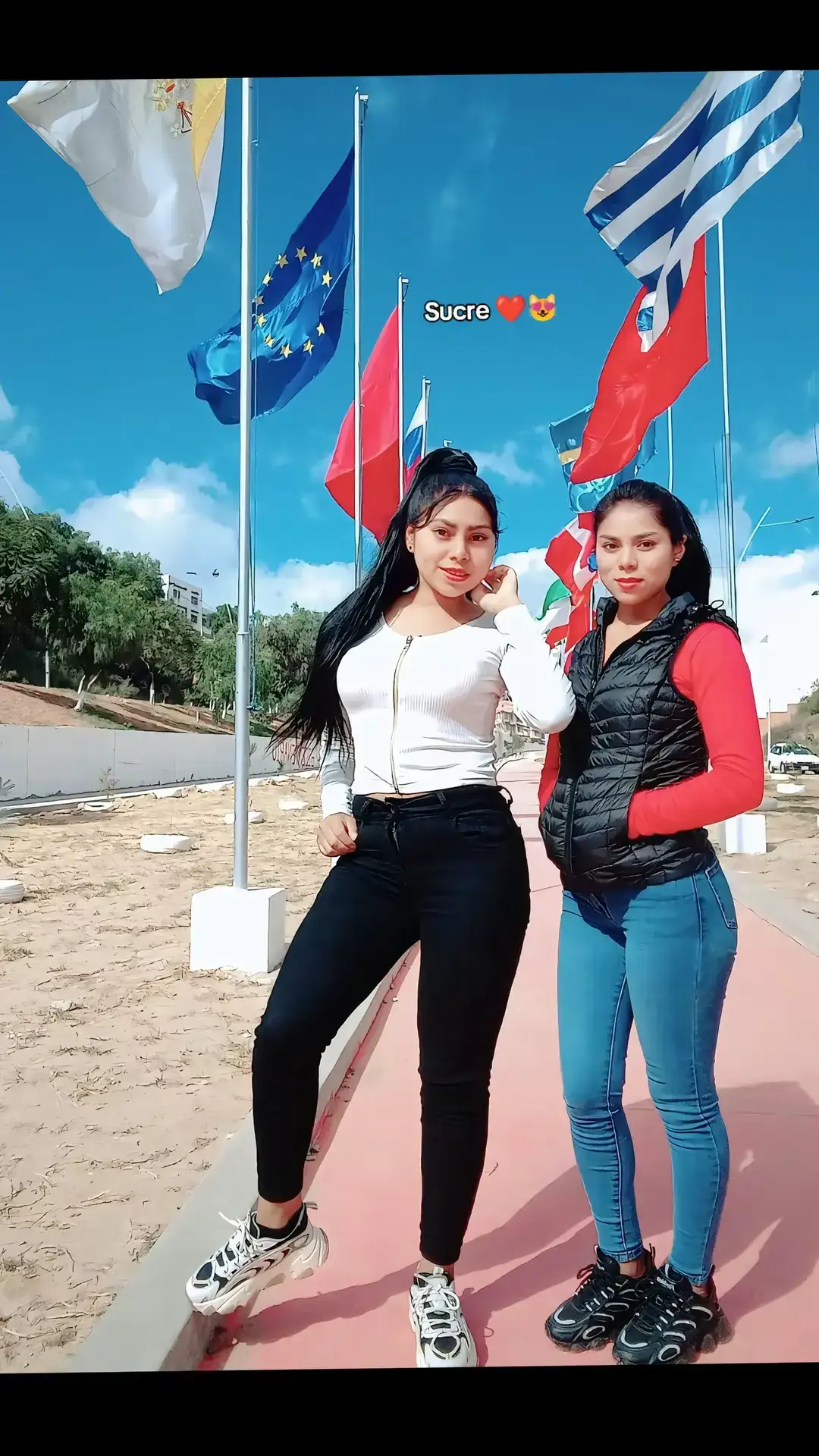 #tiktok #bolivia🇧🇴❤️ #fypシ゚viral✨ #Viral✨ 