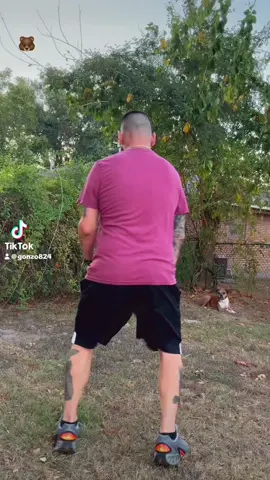 Even my dog said “gurl no!”🤣#fyp #foryoupage #viral #gay #bear 