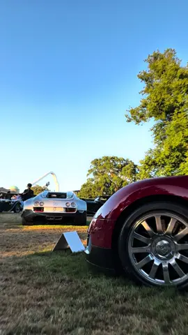 Zonda field or veyron? 🫣