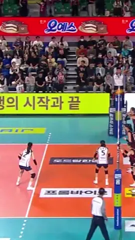 #volleyball #volleyballplayer #redsparks #ibkaltos #kovovleague 