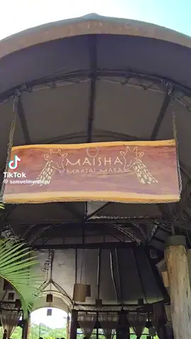 Have you been to Mara Maisha Camp? #karibumaramaisha '#wildlifeexperience #luxurytravelke #tembeakenya #kenyawildlife #nightgamedrive #kenyasafaris #nightgamedrive #magicalkenya #visitkenya #luxurylodges #MaraMaishaCamp 