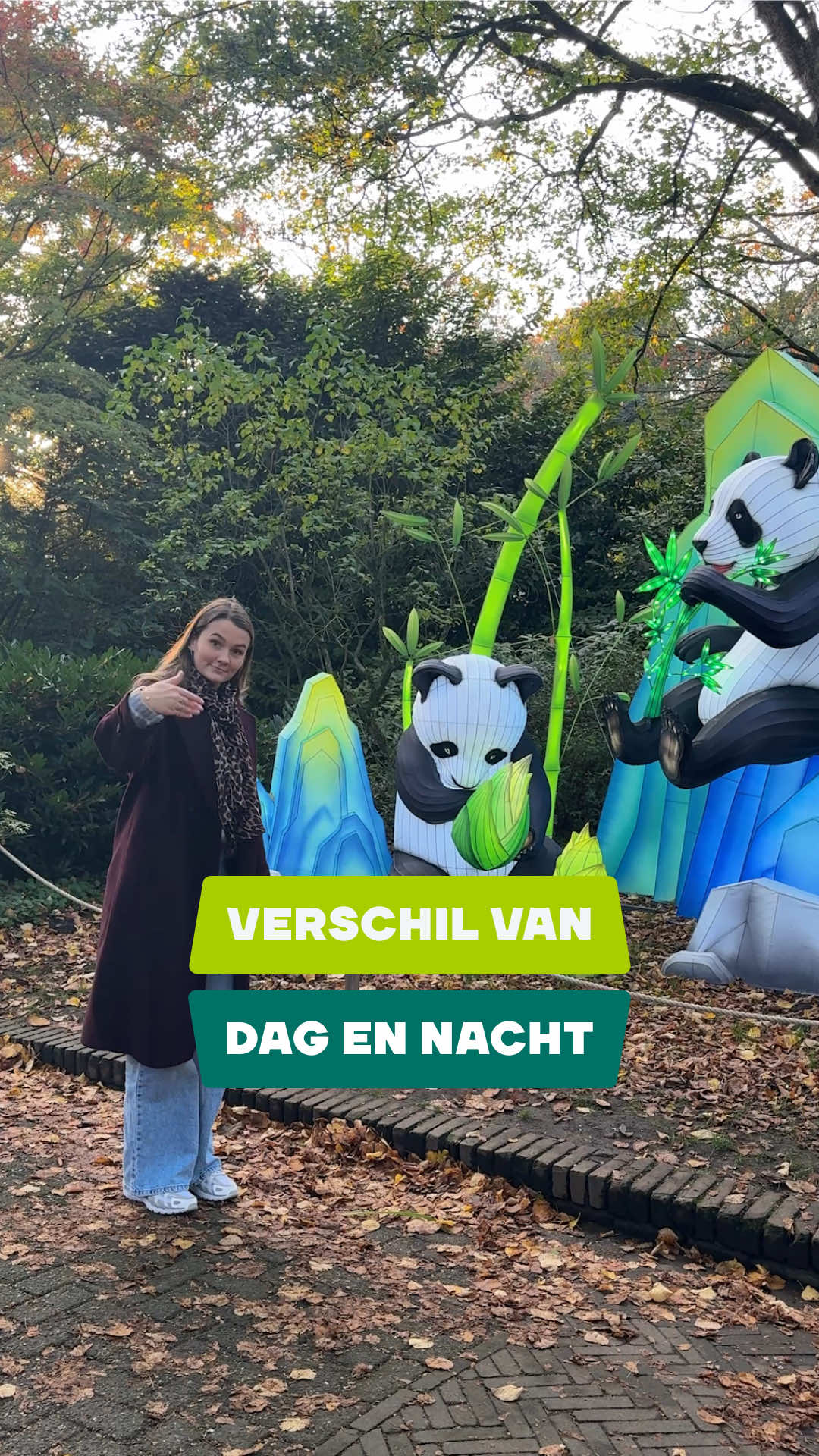 Overdag wandel je tussen mooie objecten, maar zodra de zon ondergaat… begint de échte magie. ✨ Het park komt tot leven met prachtige kleuren en lichtjes. 🤩 Wil jij ook genieten van de combinatie tussen overdag en 's nachts? Haal dan gauw je combi-tickets, waarmee je vanaf 14.00 van harte welkom bent en tot in de avond kan rondlopen in het park! 💫 🎟️ Reserveer je tickets hier: https://www.ouwehand.nl/#convious #lightnights #datenight #dagjeuit #ouwehandsdierenpark 