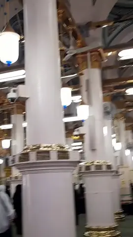 الحمدلله على الزيارة ،  الحمدلله علي الصلاة فى الروضة الشريفة🥺❤️ #المسجد_النبوي #الروضة_الشريفة #المدينه_المنوره 