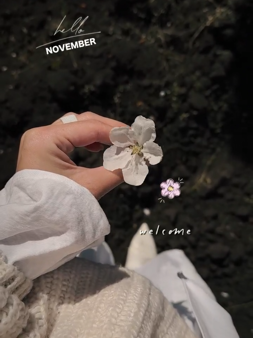 Hello November  #hellonovember #CapCut 