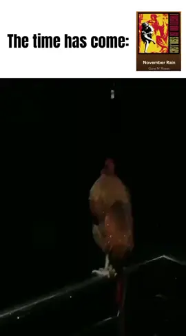 Sudah Waktunya  #novemberrain #gunsnroses #fyp #axlrose #hujan 