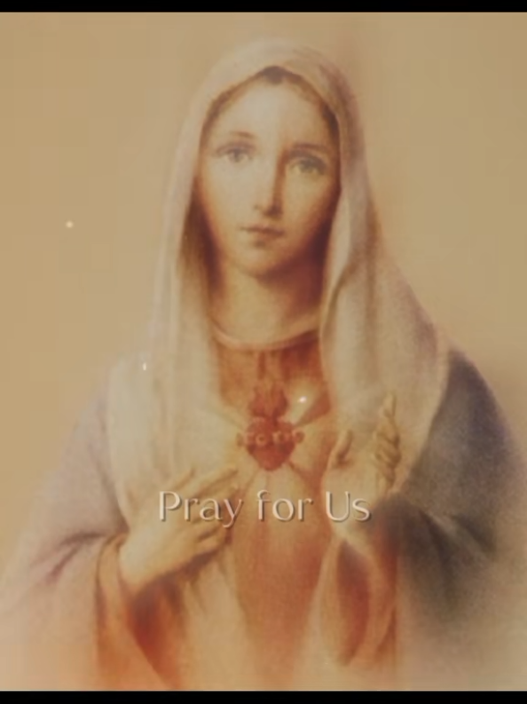 Feast Of All Saints tomorrow Saturday 1st of November 2025. Try and attend Mass. #Rep your Saint #catholic #catholictiktok #octoberdevotion #mychurchmypride♥️♥️🙏 