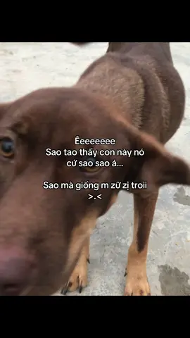 #ctt_31thg1 #fyp #xuhuong 