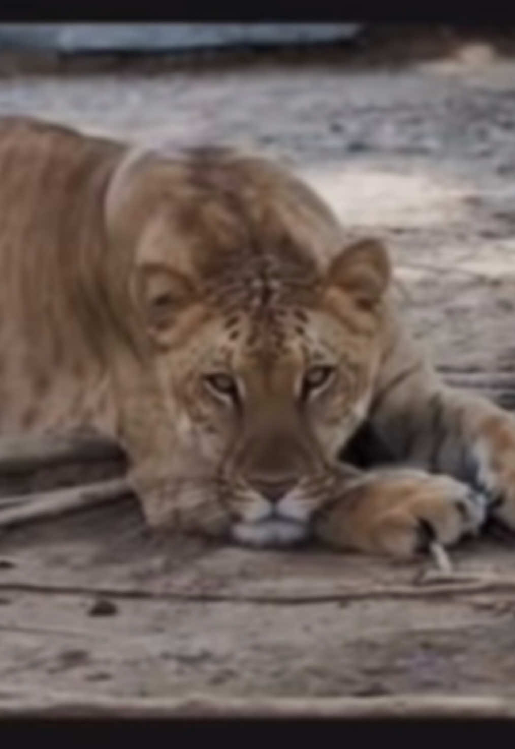 опасный тип #дружба #друг #рофл #жиза 