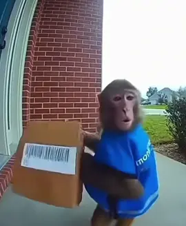 #funny #ai #sora #viral #group7 open up diddy blud 😄