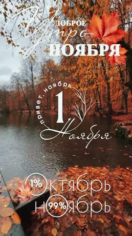 #новыйдень #ноябрь2025осень🥰 #суббота🌹 