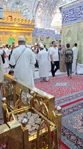 #كربلاءالمقدسه_الامام_الحسين🌱🌺 #بصره_بغداد_ميسان_ذي_قار #العراق_السعوديه_الاردن_الخليج_سوريا 