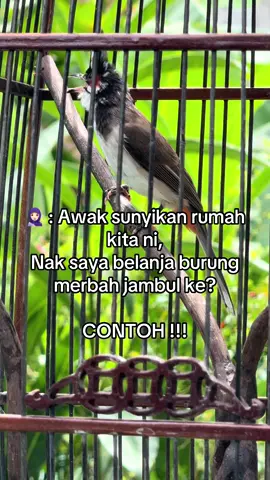 Contoh kepada wanita2 di luar sana, cara pikat hati orang lelaki