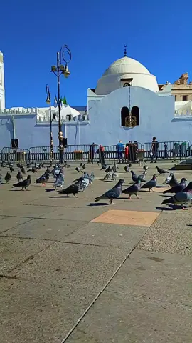 حاج محمد العنقة الحمام #creatorsearchinsights #تعلم_على_تيك_توك #شعب_الصيني_ماله_حل😂😂 #viraltiktok #foyoupage 