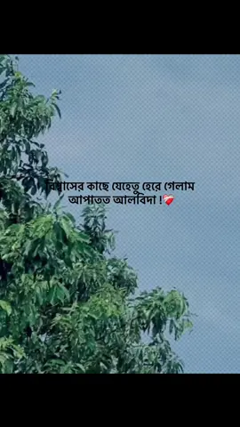 বিশ্বাসের কাছে যেহেতু হেরে গেলাম  আপাতত আলবিদা !❤️‍🩹#foryou #trending #banglacaption #popularvedio #captionvedio 