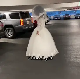 #kuwait #explore #جنوس #شيميلات #مس_موزه 