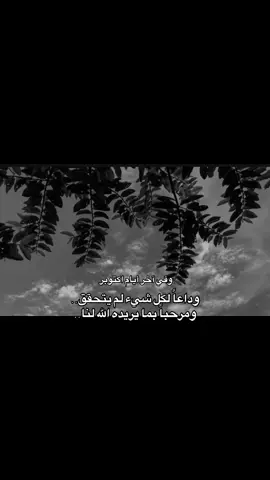 #creatorsearchinsights 