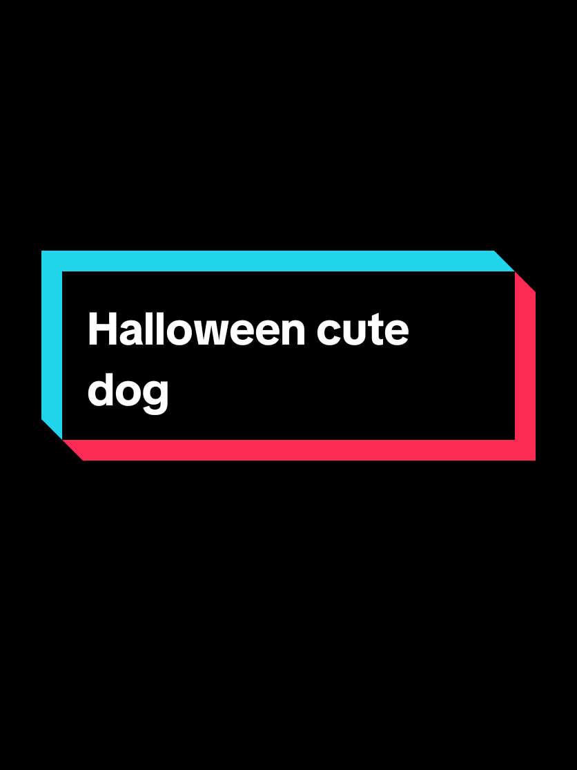 cute Halloween dog trick or treat #dogsoftiktok #halloween #cutedog 