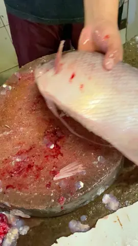 how to make a fish that can fly #yos 