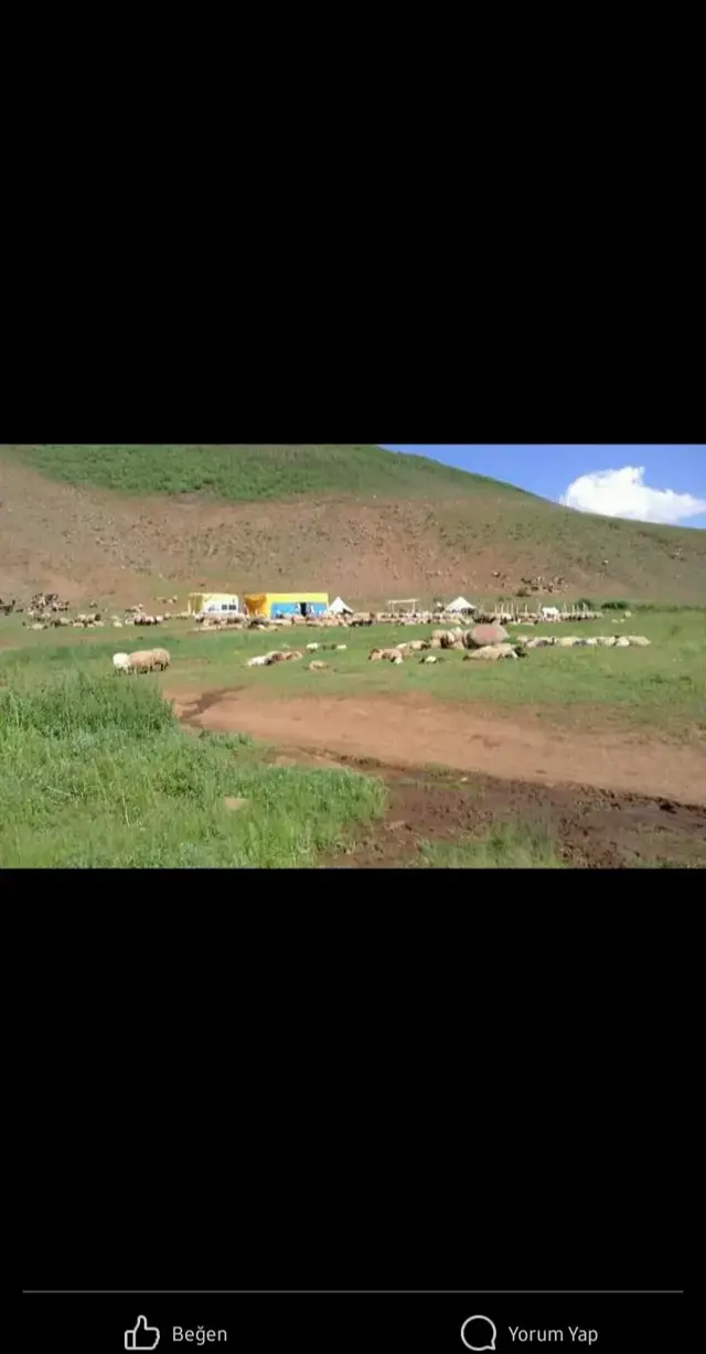 #klipler #potpori #klip #dengbejuzunhava #halay 