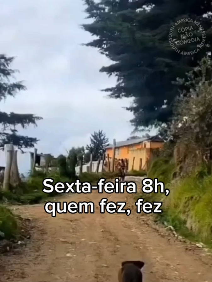 quem fez, fez #southamericamemes