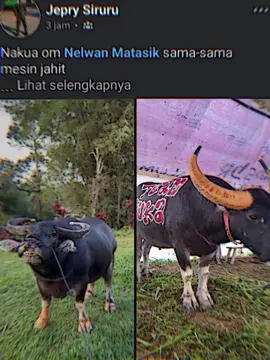 sama² mesin jahit 🥶selebor padatindo vs panter puka #padatindoteam🔥🔥🔥 #pukateam #fyppppppppppppppppppppppp 