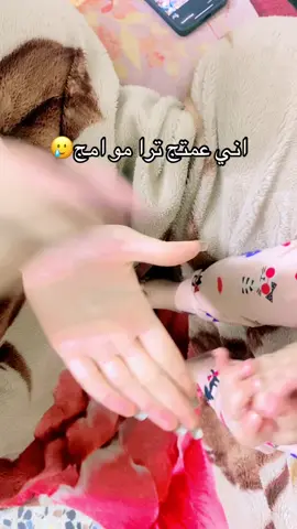 😂😂🫶🏻#اكسبلور؟ #لايك #فولو #ترند_تيك_توك #for 