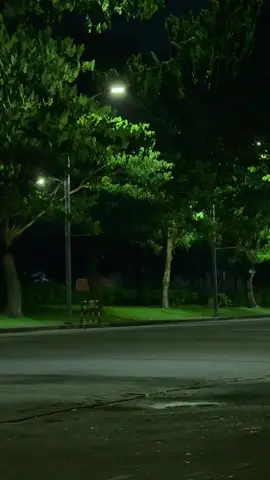 what about the plans we made?