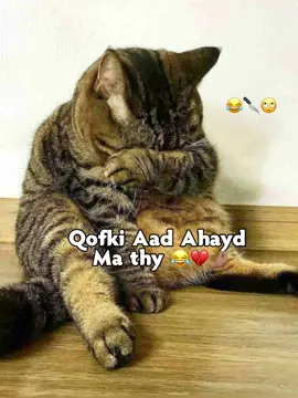 Drft like saar😂💕🫶🏼#meliss😍🙌🏻 #viralvideos #foryoupage #funnyvideos #fyppppppppppppppppppppppp 