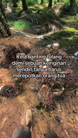 #katakata #kulisawitkalimantan #fyppppppppppppppppppppppp #4u 