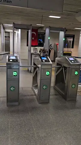 Turnikede bir kedi: İstanbul'un sessiz güvenliği  Geçiş serbest 😍 #istanbul #metro #kedi #kediistanbul #catistanbul 
