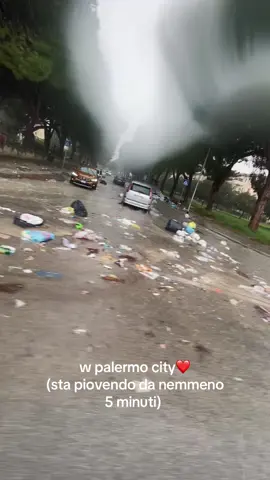 prossimamente in barca!! #palermo #pioggia #perte #fyp #viral 