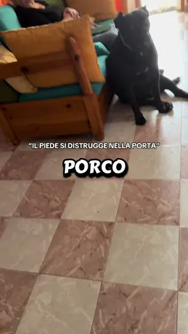 IL MIO PIEDE…💀 #perte #virale #divertente😂😂 #divertentissimi #voliamoneiperte 