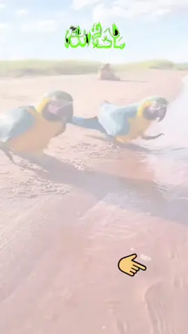 #dontunderreviewmyvideo #unfreezemyaccount #viralthisvideoo #foryoupage #1millionaudition 