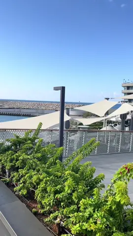 ياقلبي لا تضل متيس اني اوصفلك💚💫