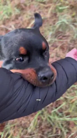 This morning after the boys got on the bus, Kevin grabs my arm and just starts running with me attached to it. 🤣🤣🤣 #sillydog #funnydogs #cutepets #singlemom #chronicillness 