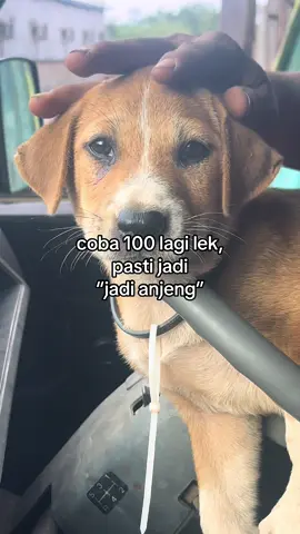 🀄️🀄️🀄️ #rusak #pkl  #foryou  #fyp 