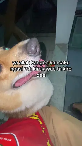 @hii_ini_rahma🫧 kgn cukk😔