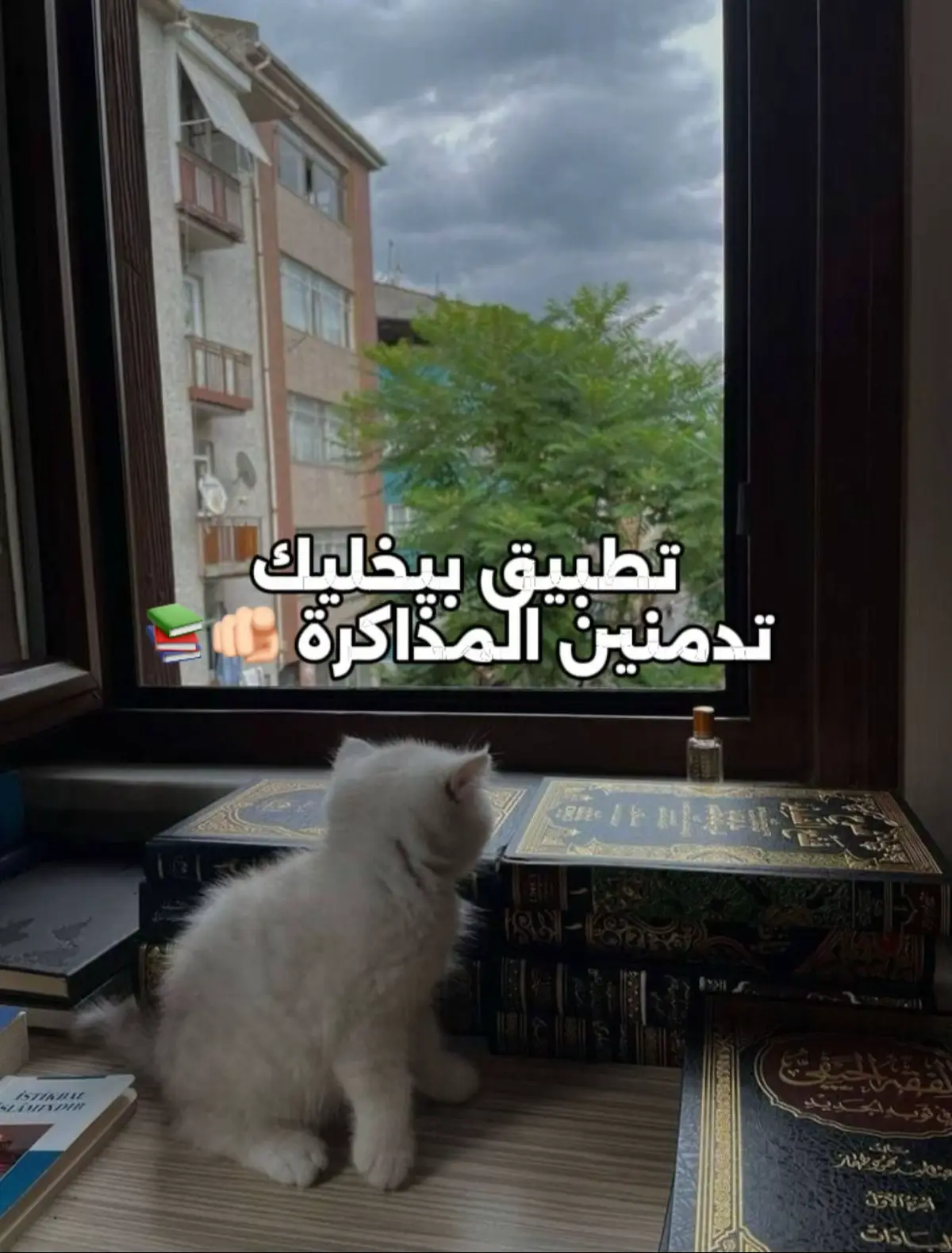 #lilo #study #دراسة #student #t 